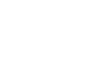 TPZ (Tobacco Processors Zimbabwe)